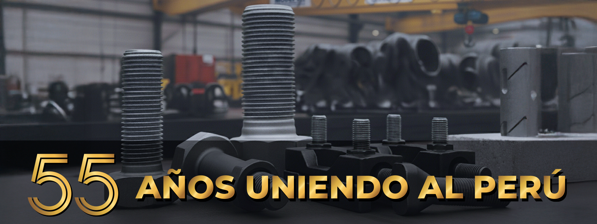 Productos MODEPSA